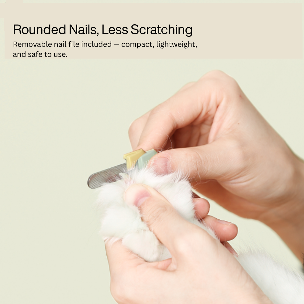 Banana LED Nail Clipper & File