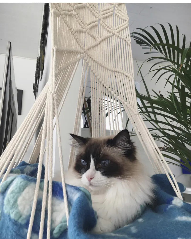 Macrame Cat Hammock