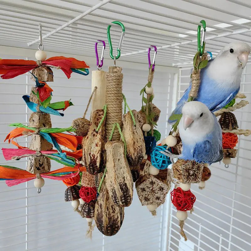 Bird Chew Toys and Decor