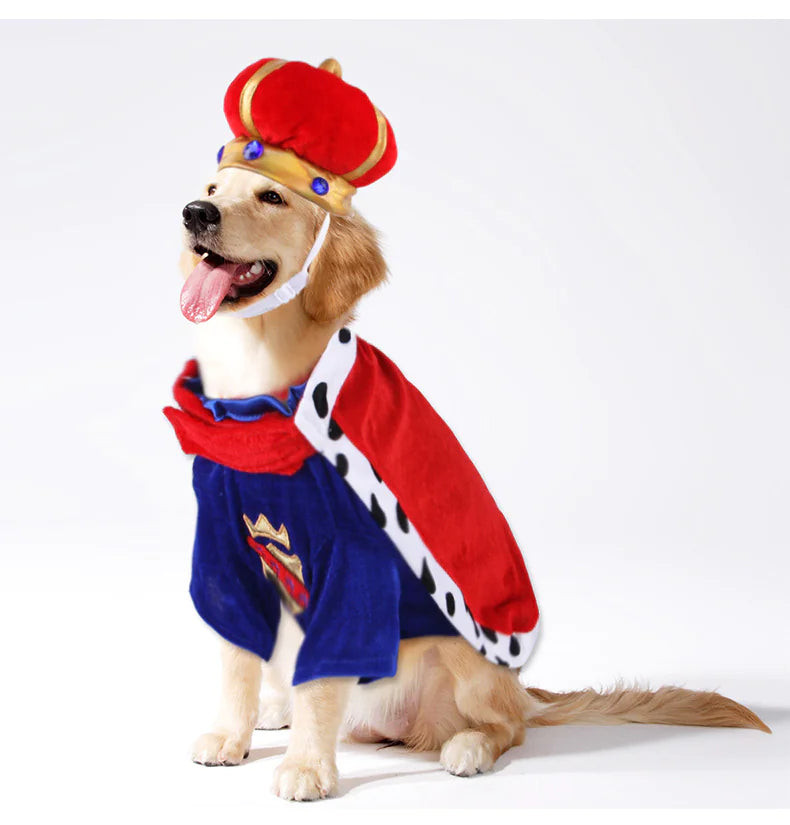 King Dog Costume