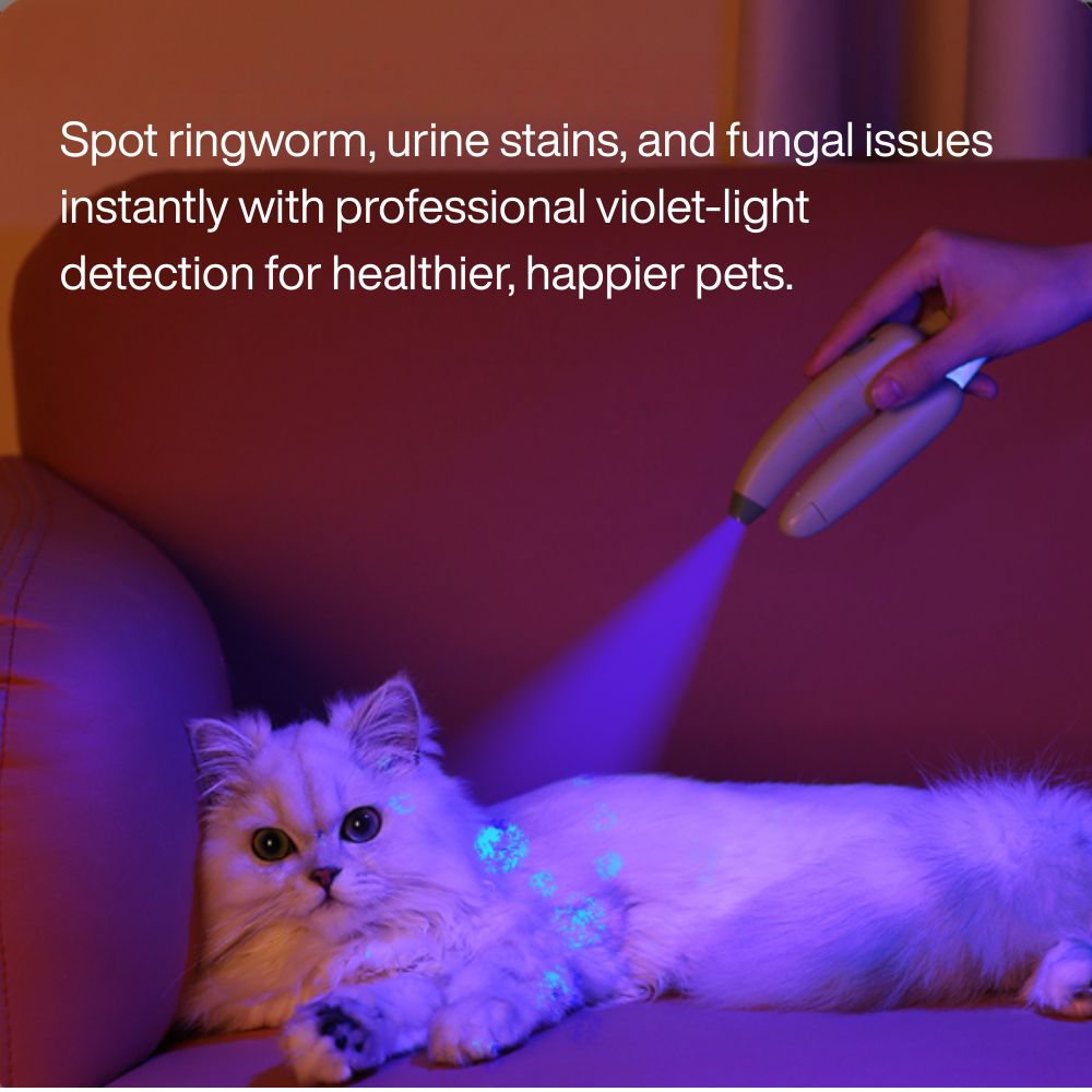 Banana LED Nail Clipper & File