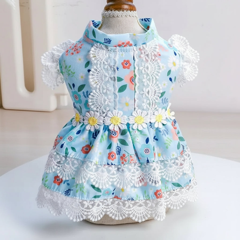 Teddy Dress