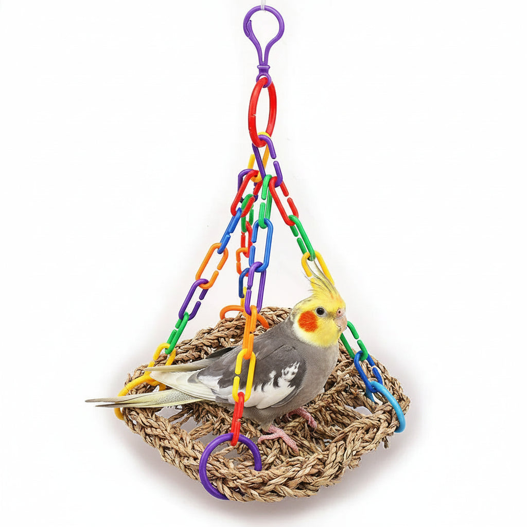 Parrot Climbing Swing