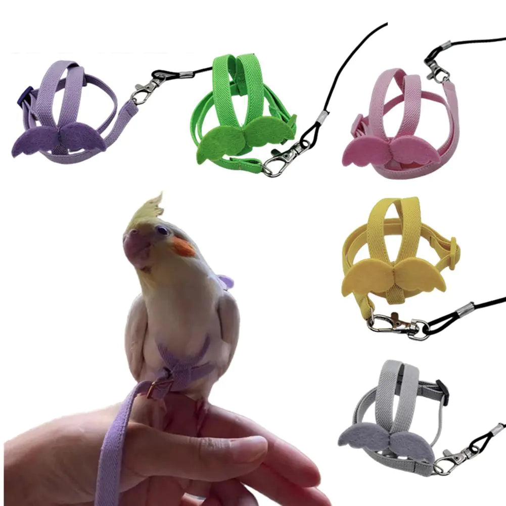 Bird Harness with Traction Rope