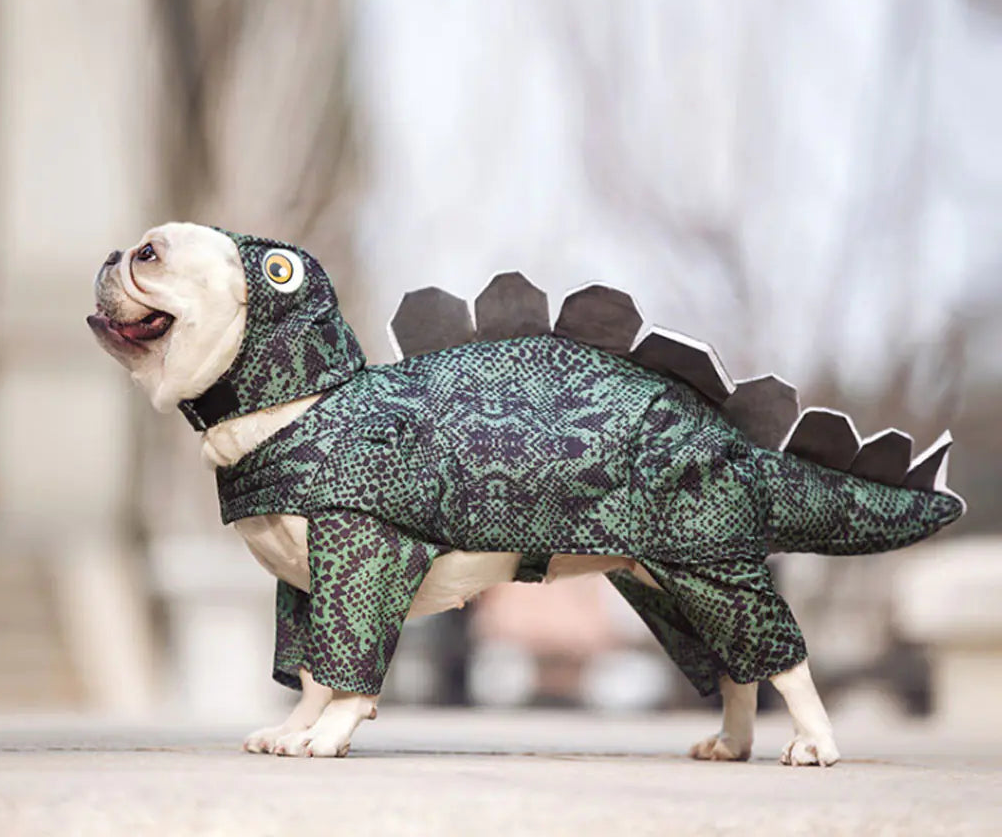 Dinosaur Costume for Dogs