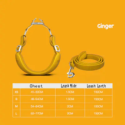 Luxury Suede Dog Harness with Leash