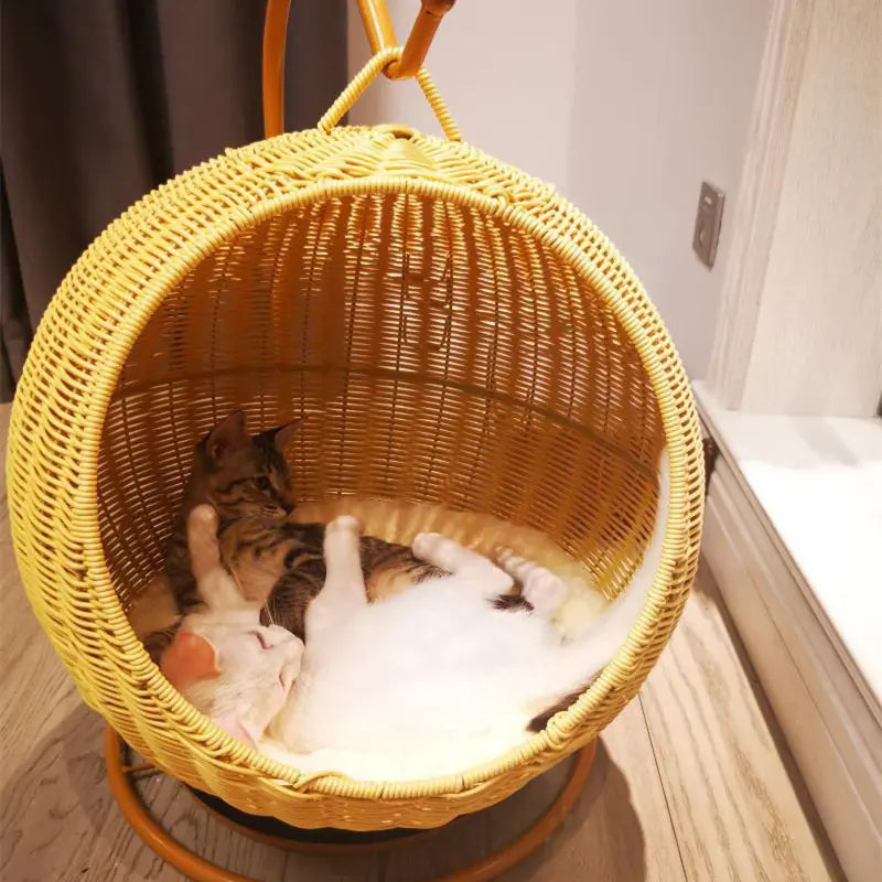 Rattan Pet Bed (4 variants)
