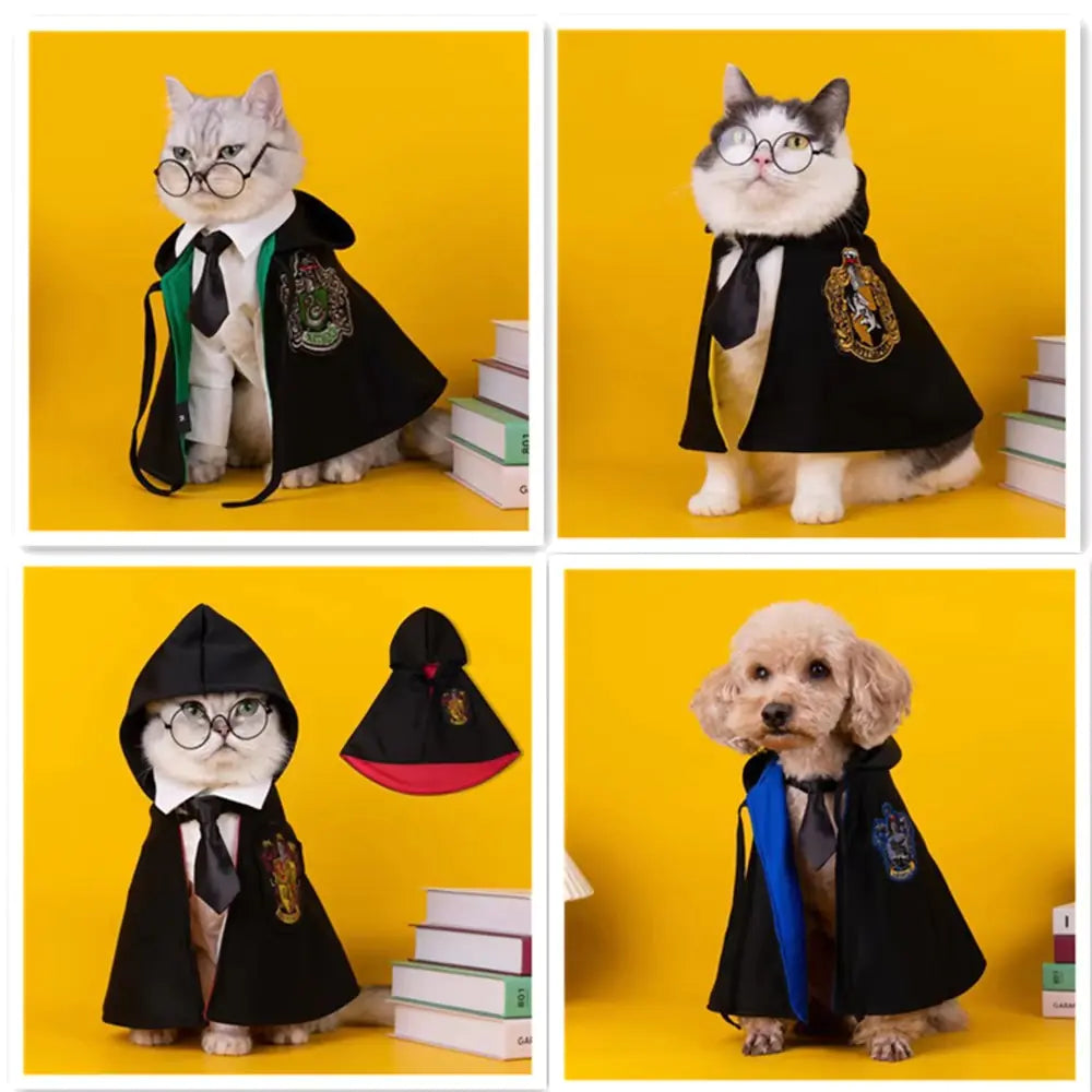 Magic Cape Outfit