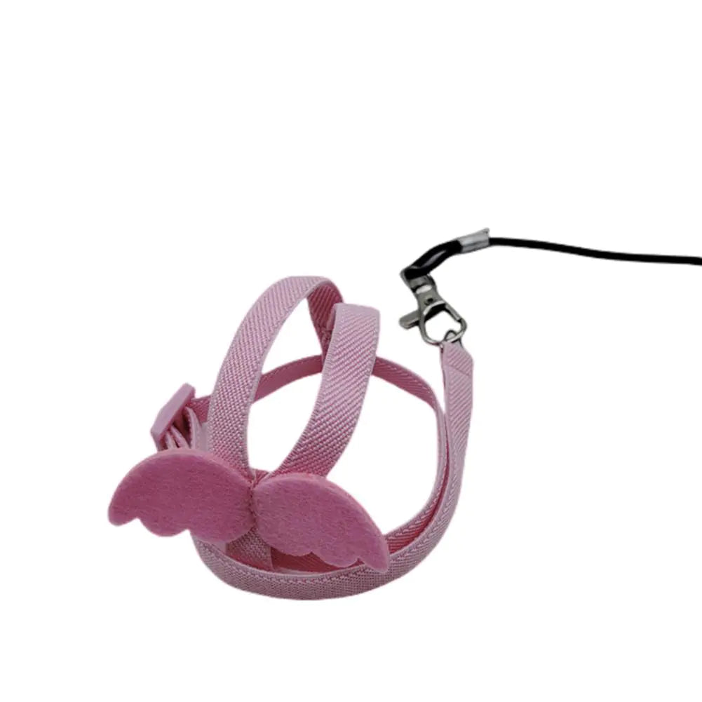 Bird Harness with Traction Rope