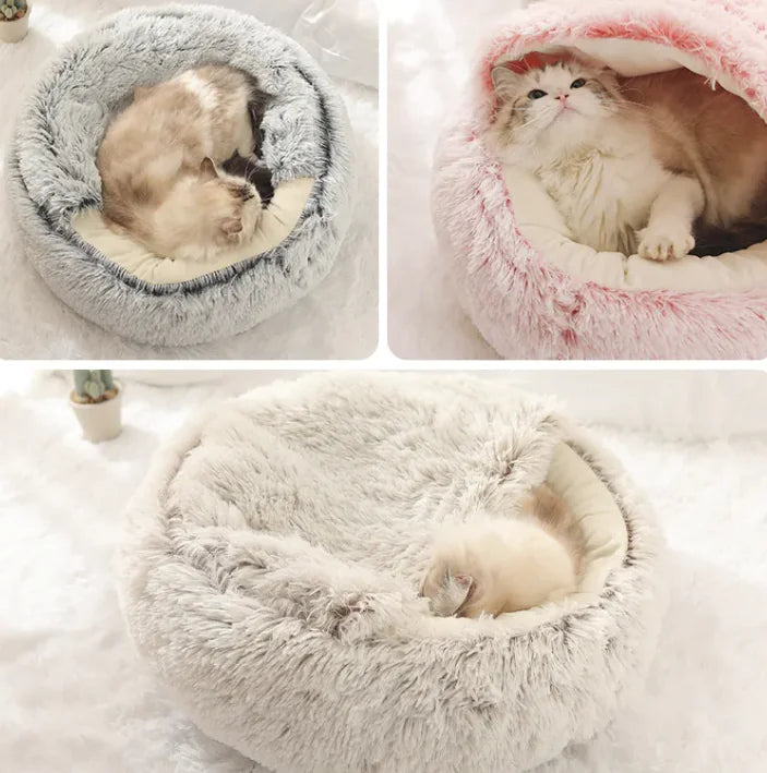 Luxury Enclosed Bed