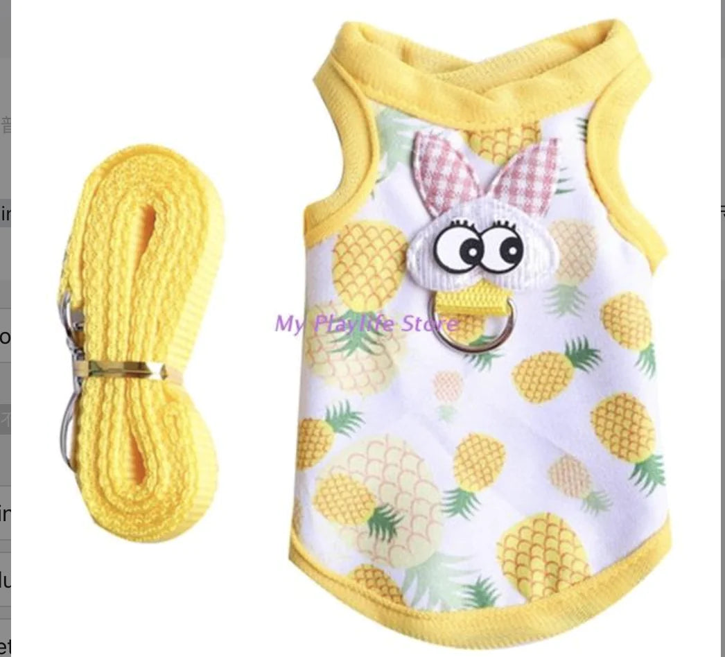 Guinea Pig Harness and Leash