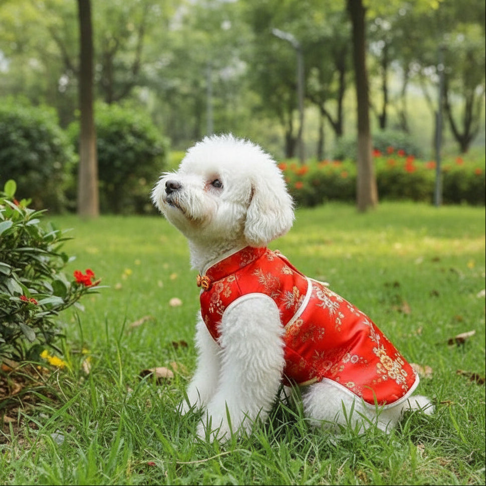 Cheongsam Dog Dress