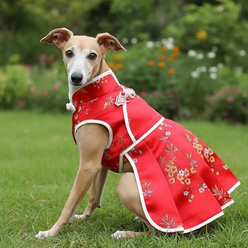 Cheongsam Dog Dress