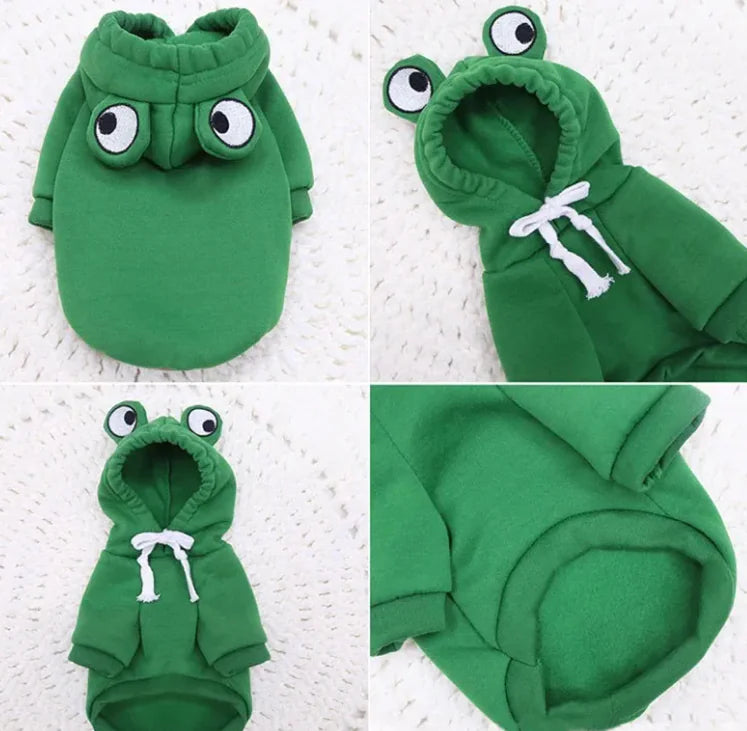 Frog Hoodie
