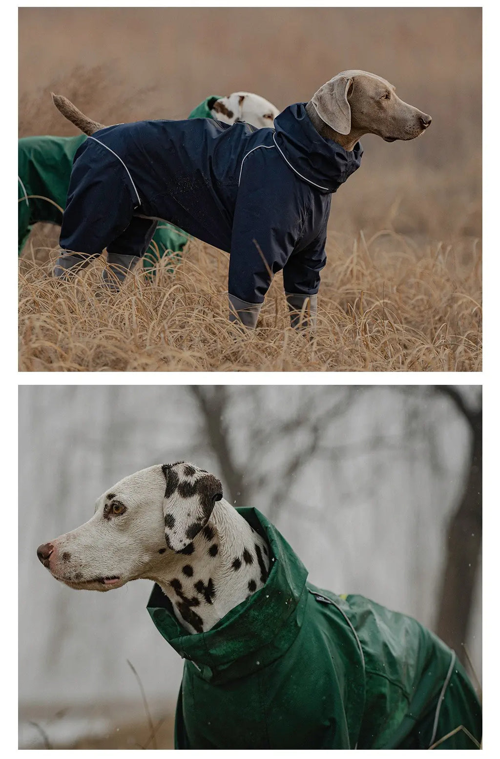 Waterproof Raincoat