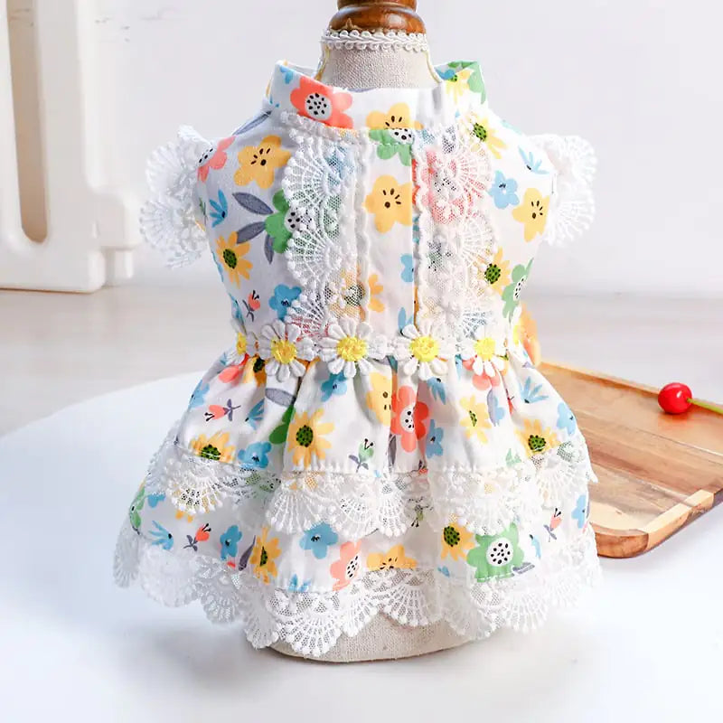 Teddy Dress