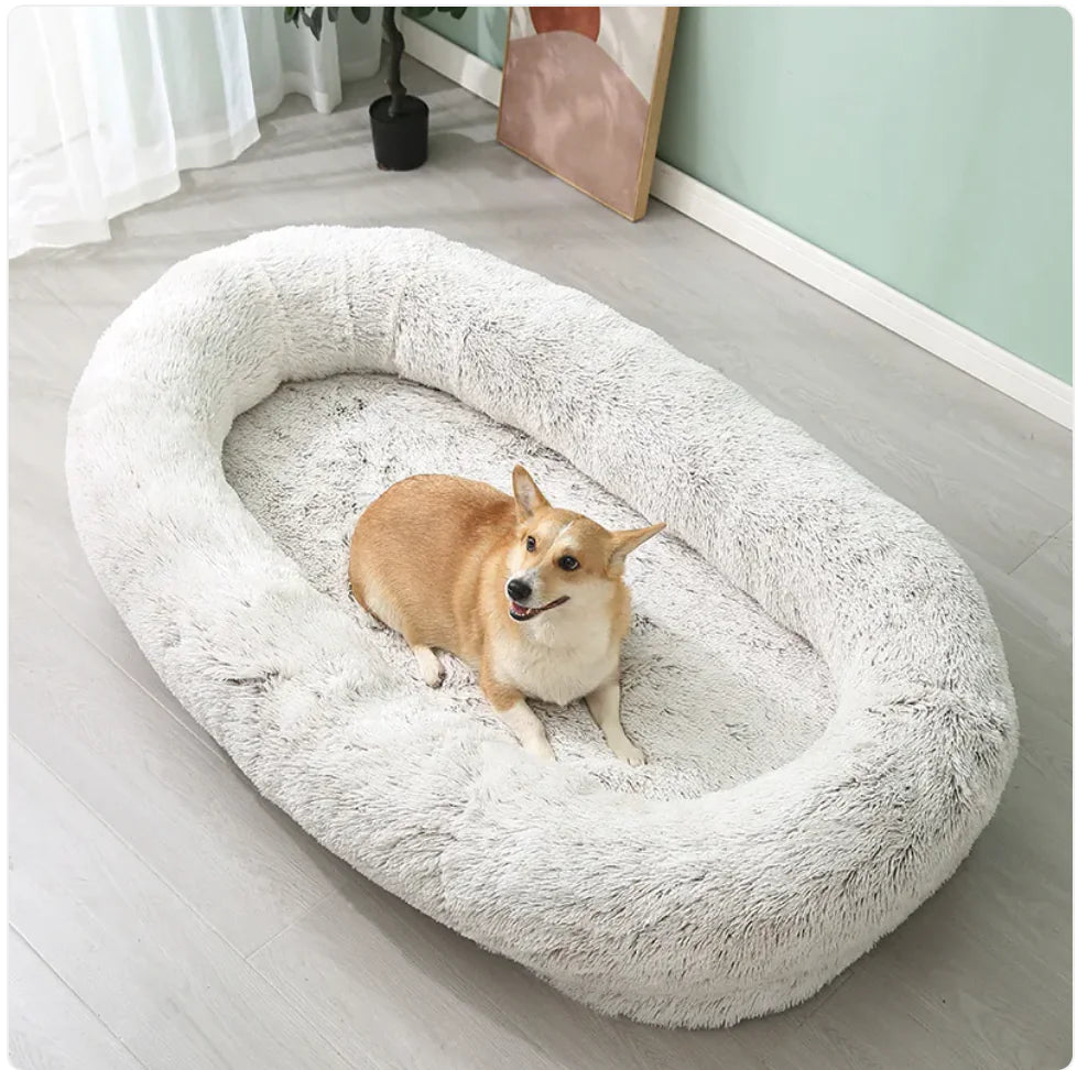 XL Plush Bed
