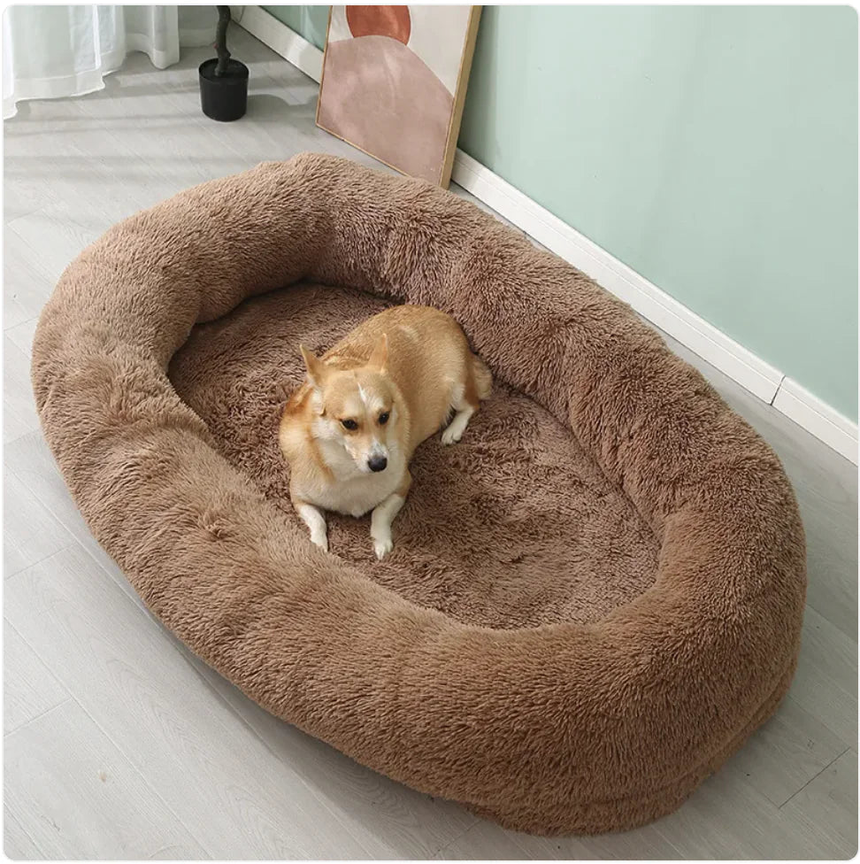 XL Plush Bed