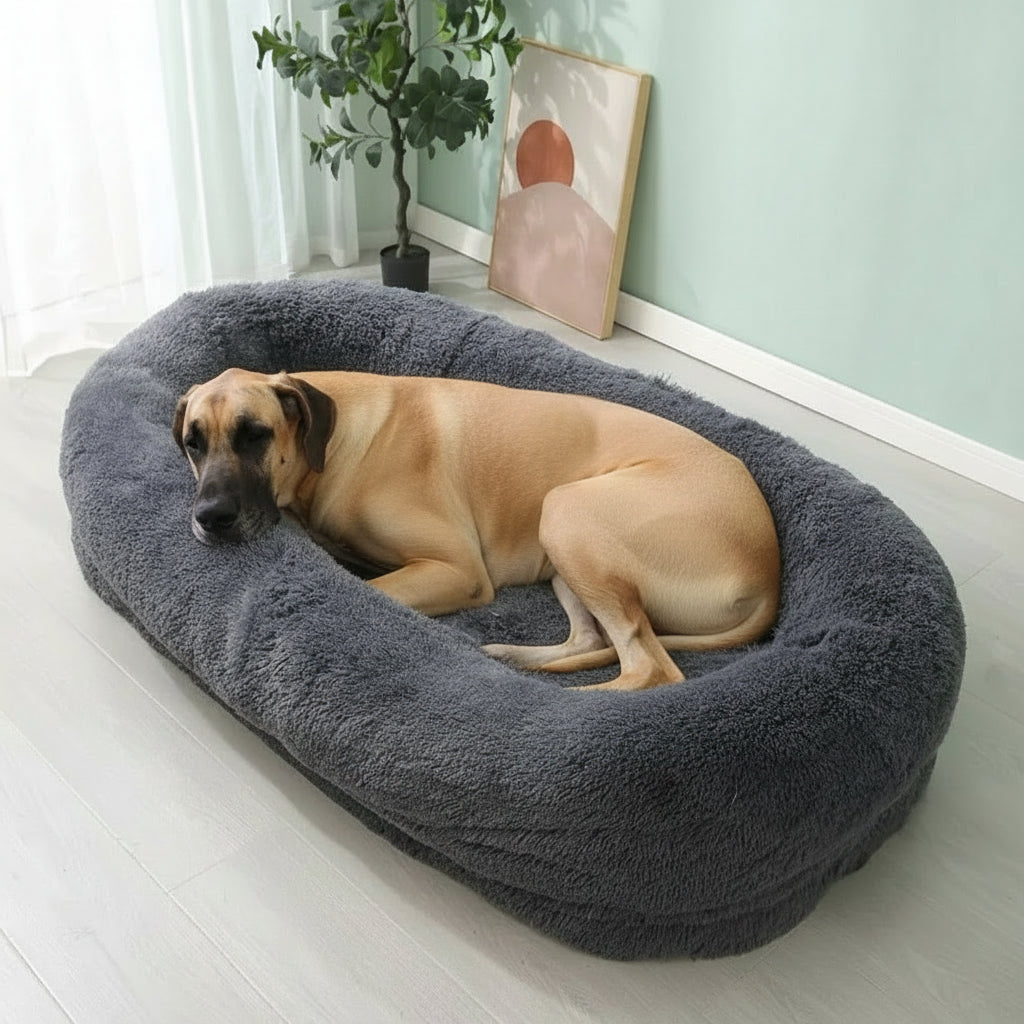 XL Plush Bed
