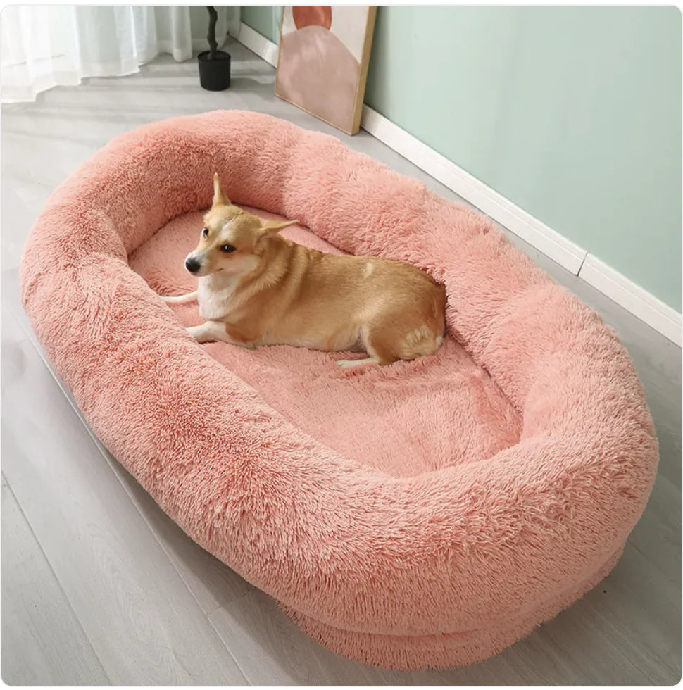 XL Plush Bed