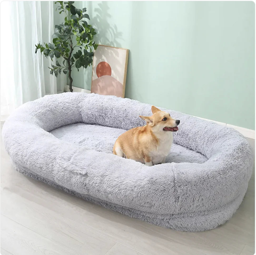 XL Plush Bed