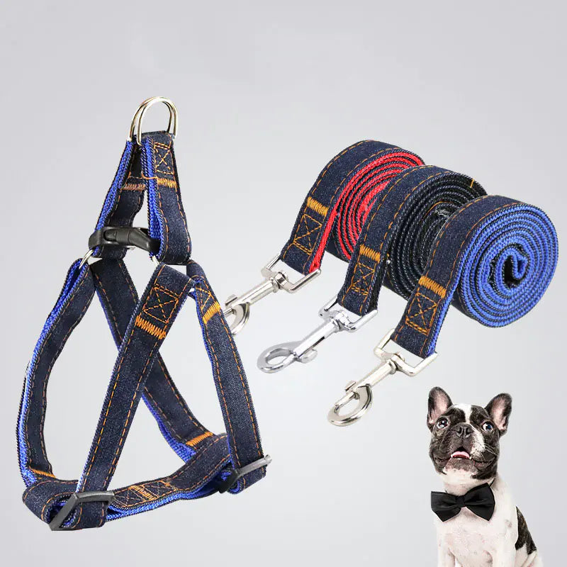 Denim Leash & Harness Set