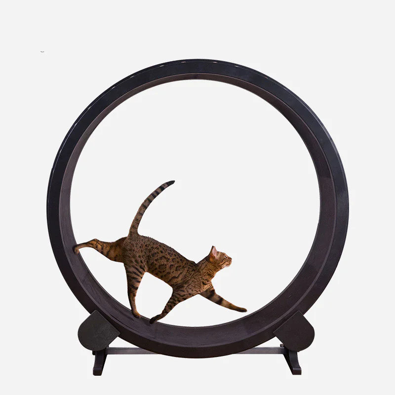 Cat Running Wheel