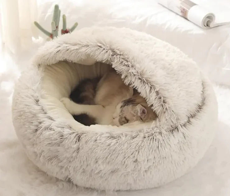 Luxury Enclosed Bed
