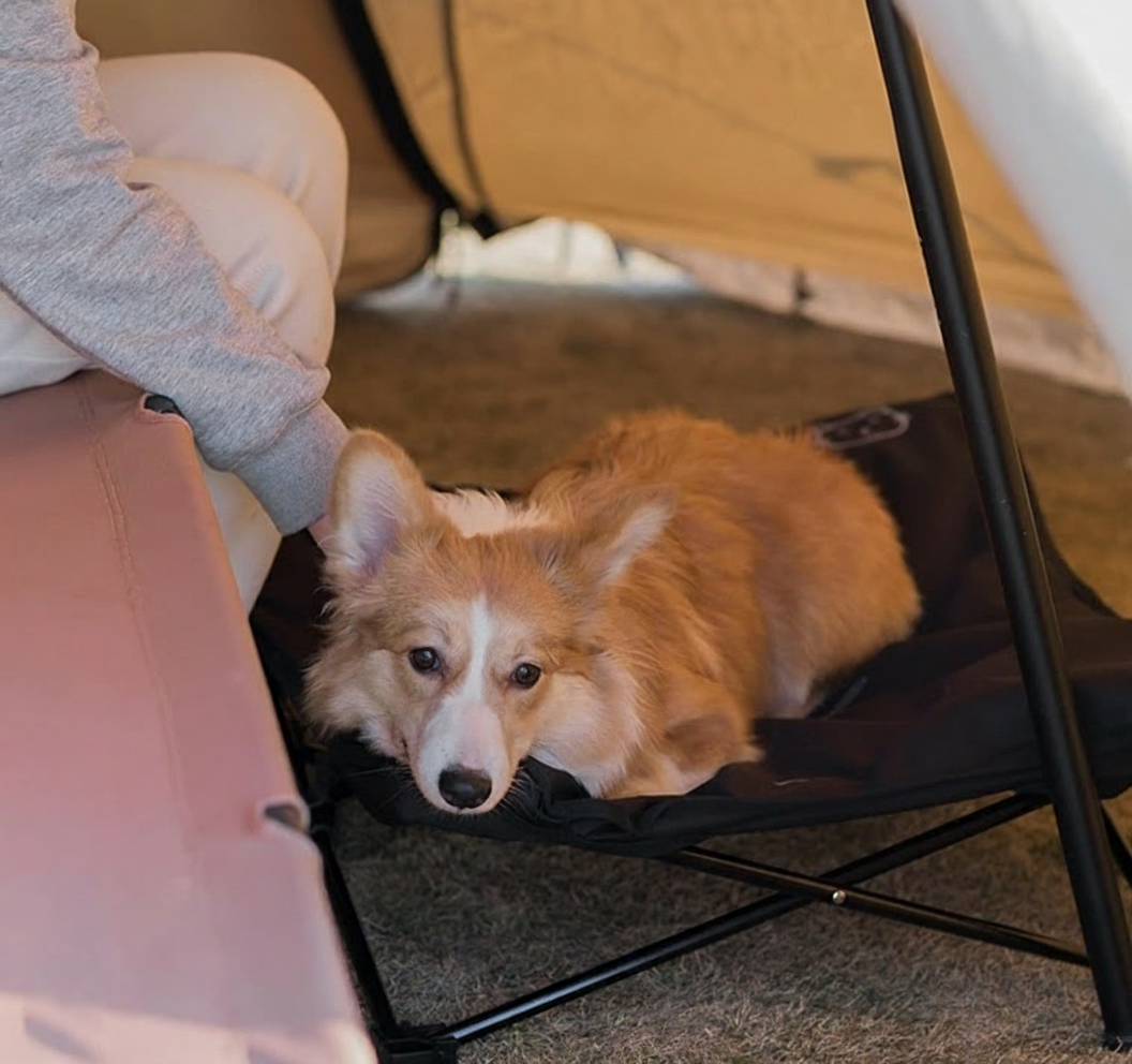 Portable Elevated Foldable Pet Bed