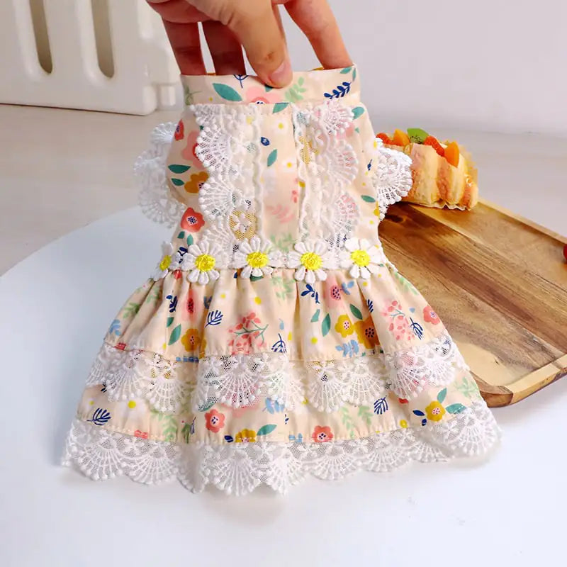 Teddy Dress