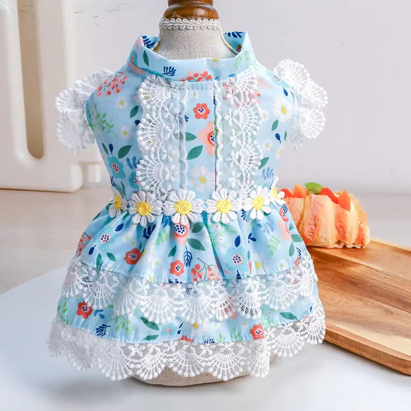 Teddy Dress