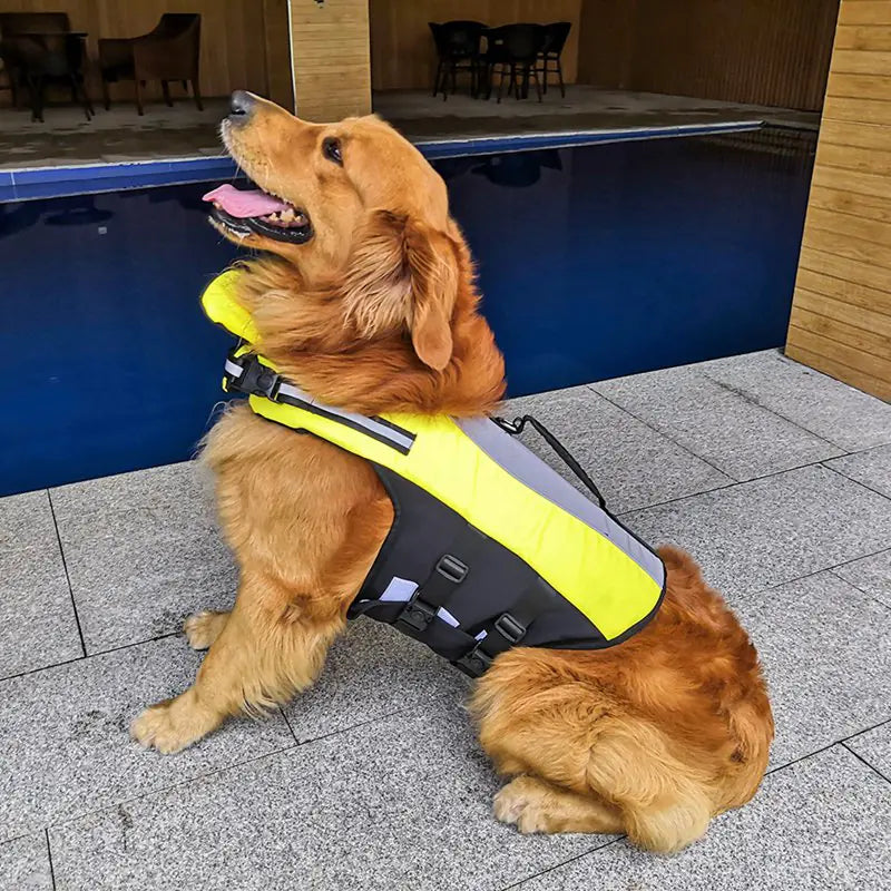 Life Jacket for Small to Medium Dogs