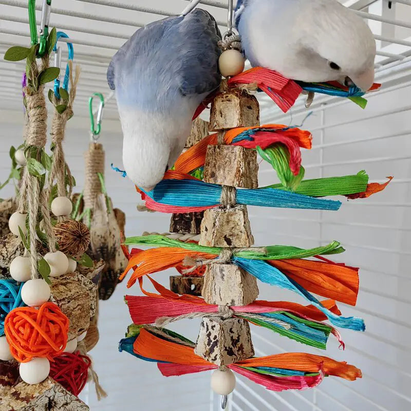 Bird Chew Toys and Decor