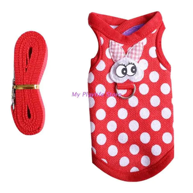 Guinea Pig Harness and Leash