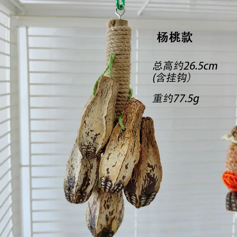 Bird Chew Toys and Decor