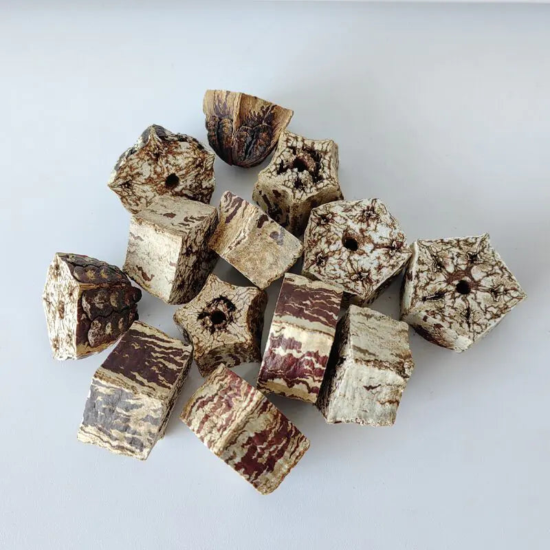 Bird Chew Toys and Decor