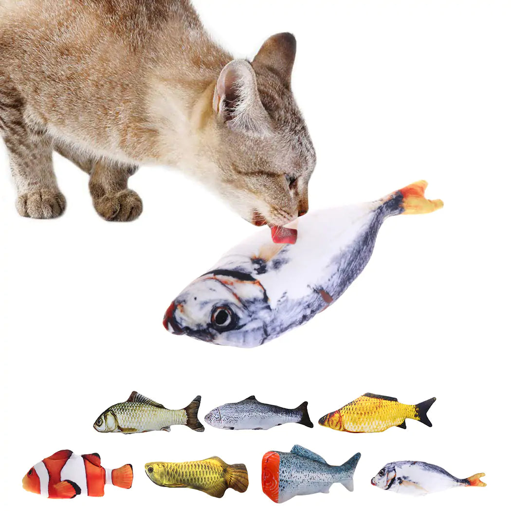 Fish Toy