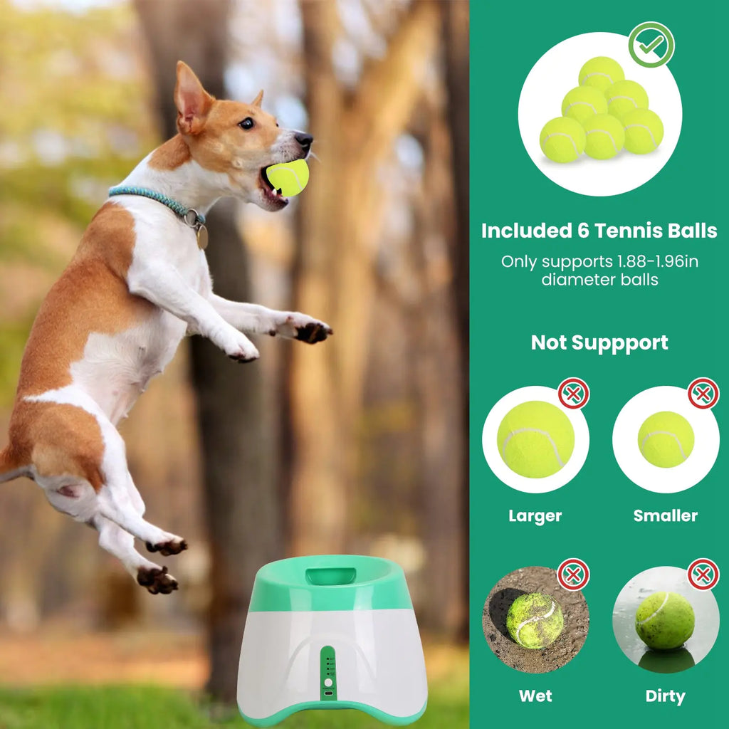 Automatic Dog Ball Launcher