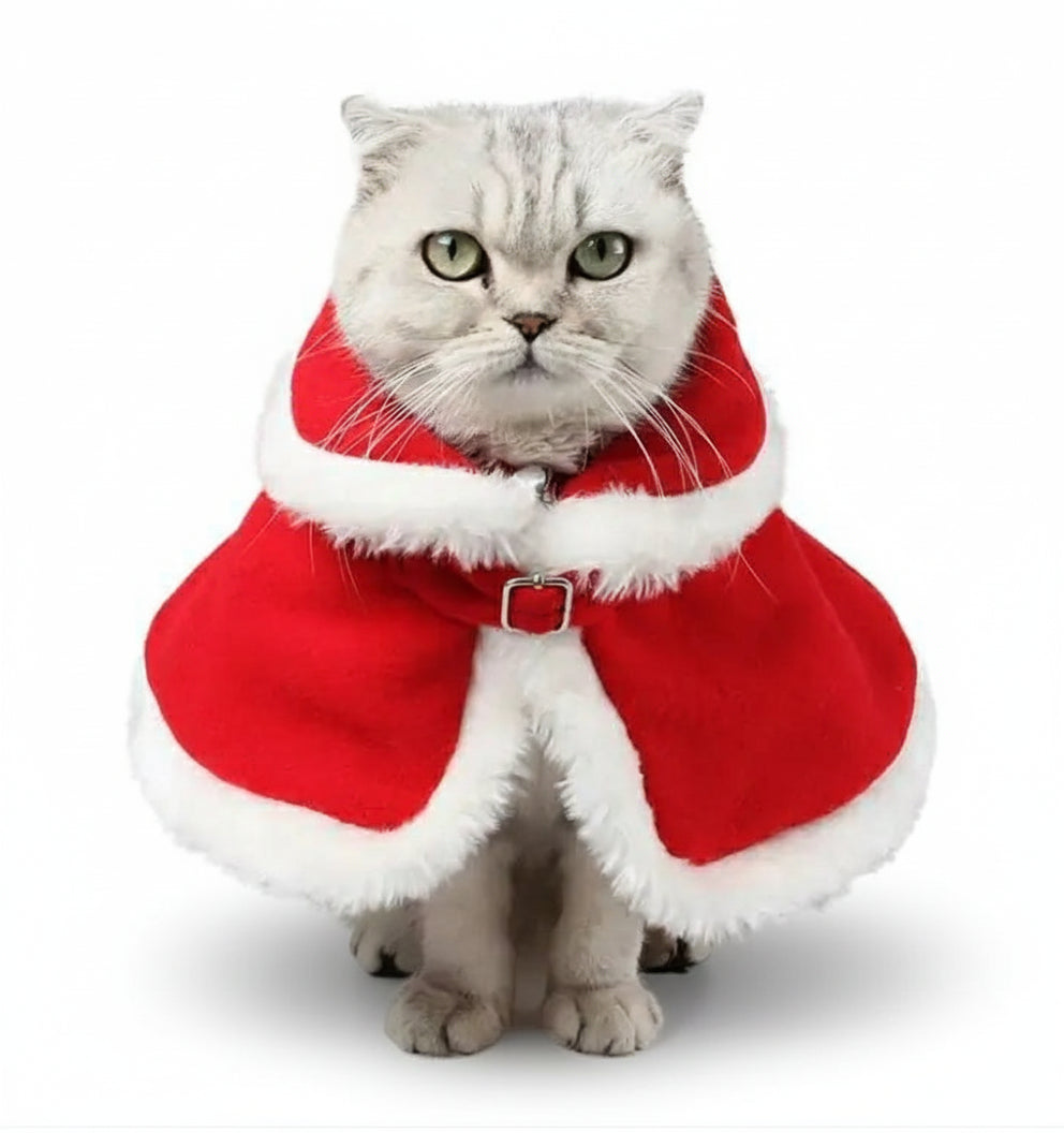 Cat red Christmas cloak