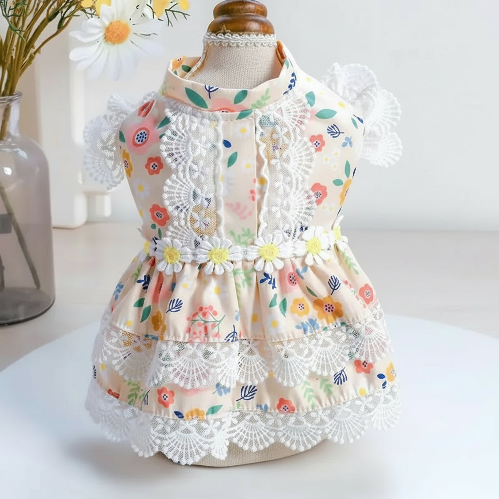 Teddy Dress