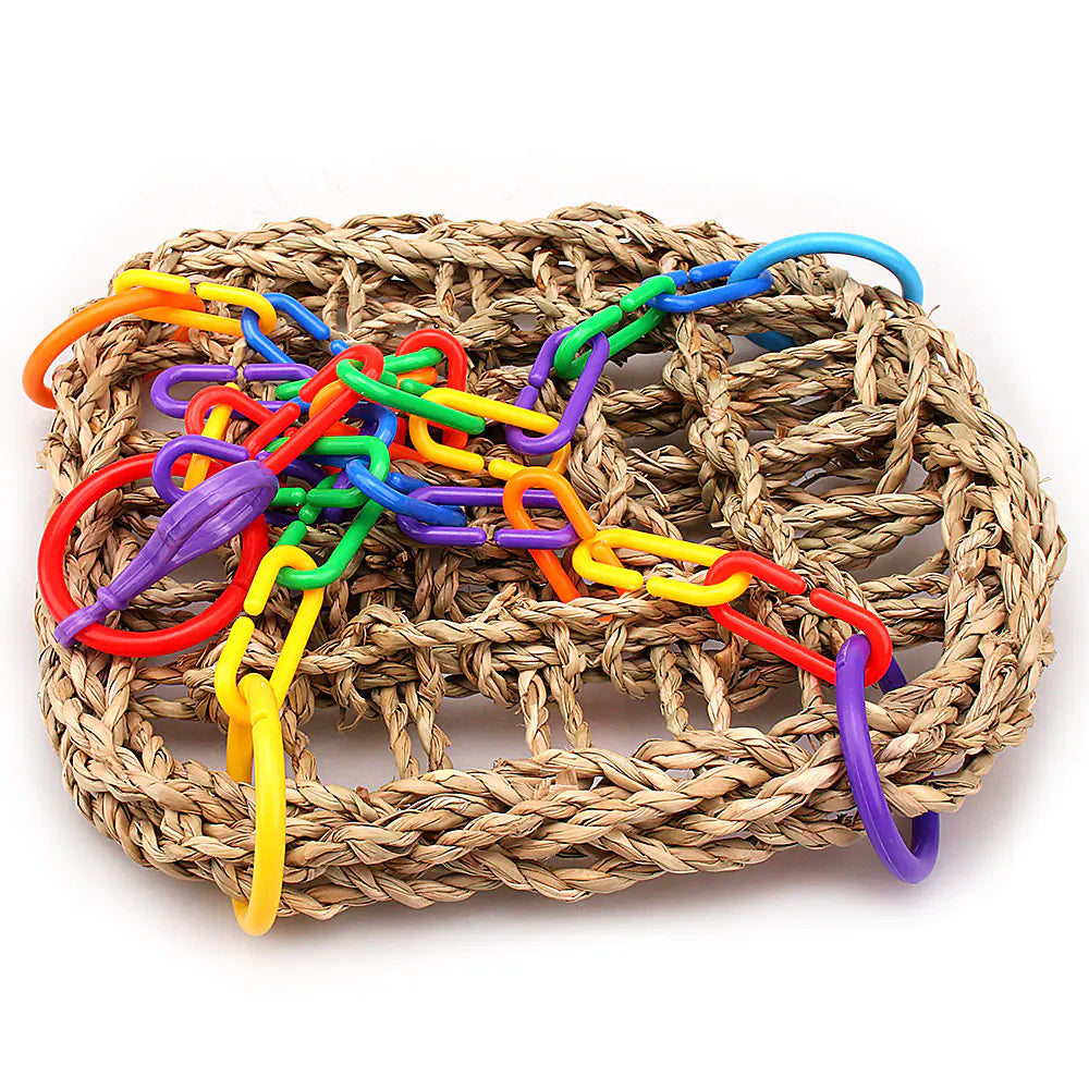 Parrot Climbing Swing