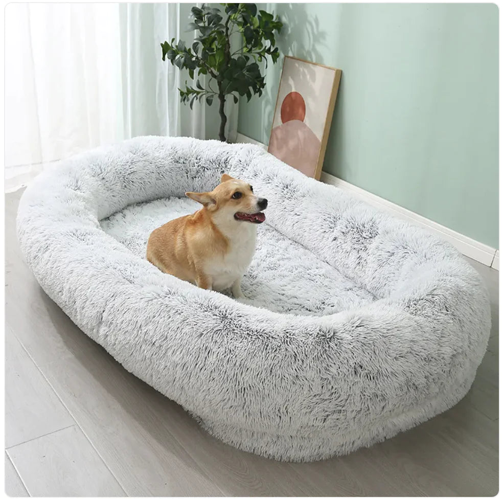 XL Plush Bed