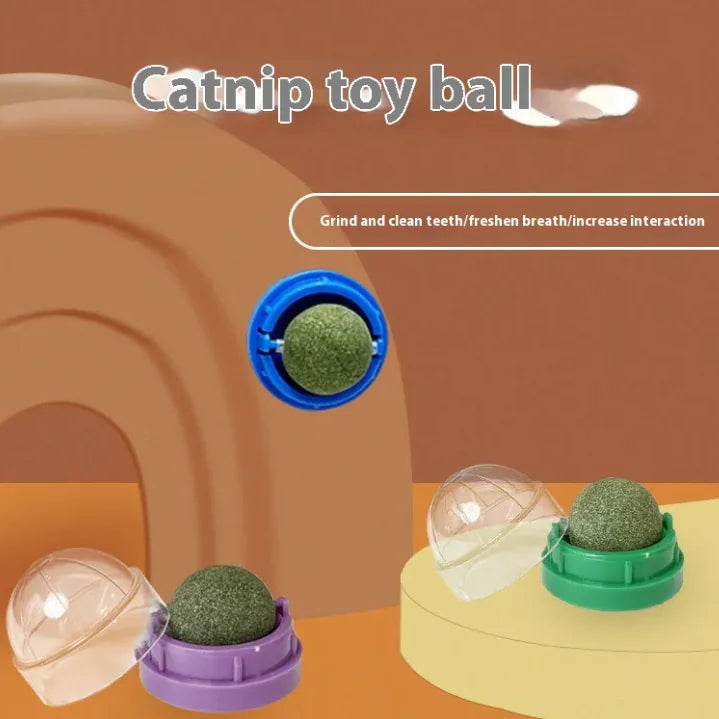 Catnip Ball