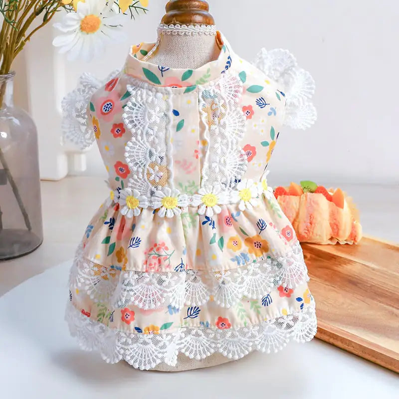 Teddy Dress