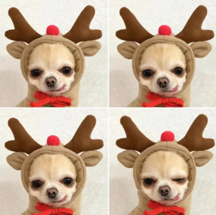 Reindeer Hoodie