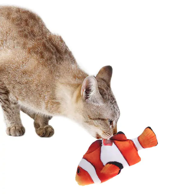 Fish Toy