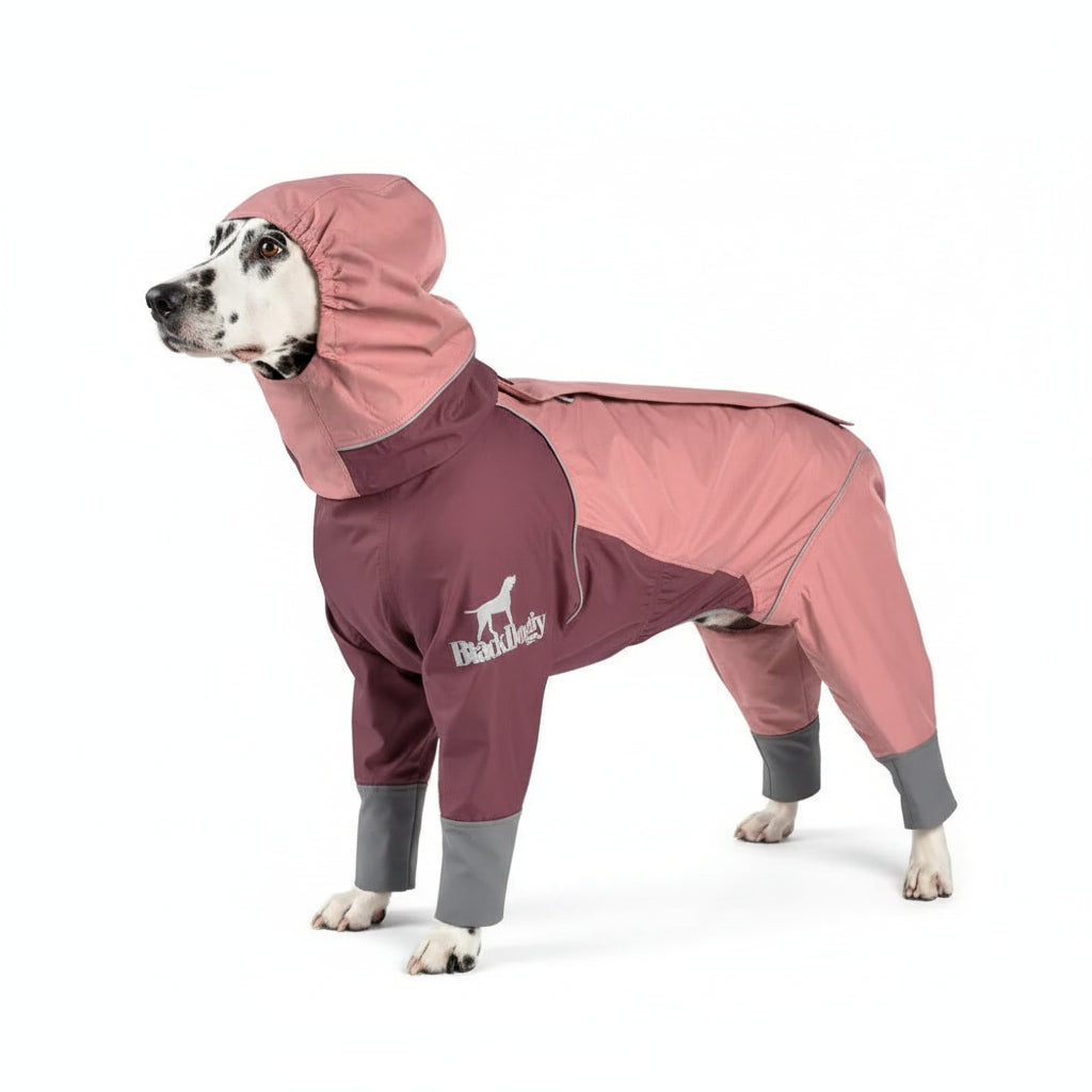 Waterproof Raincoat
