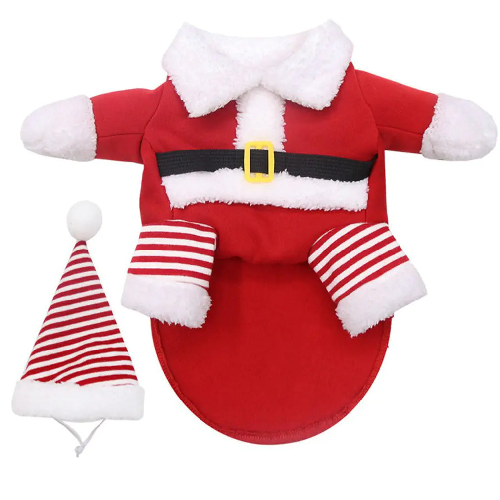 Christmas Elf