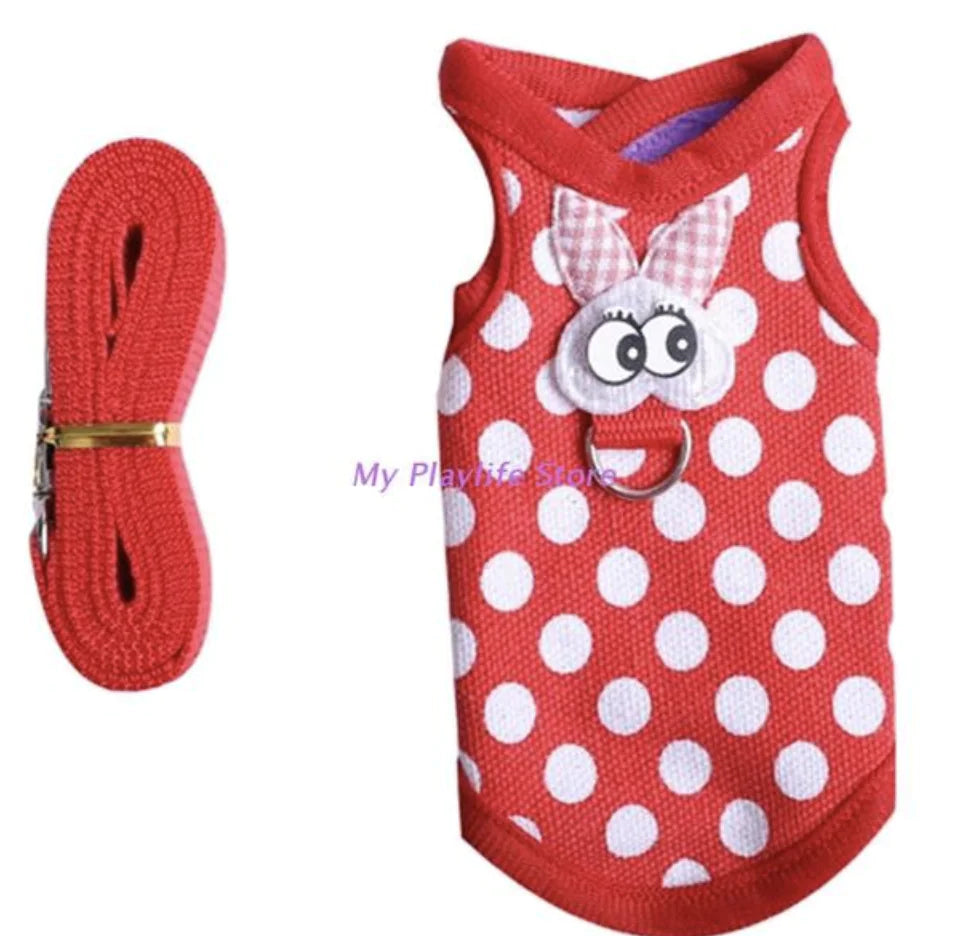 Guinea Pig Harness and Leash