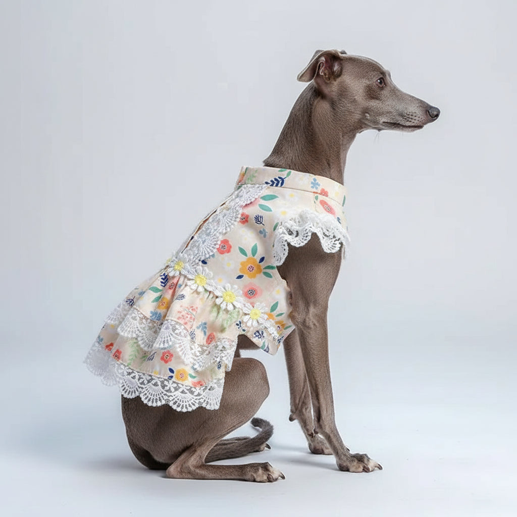 Teddy Dress